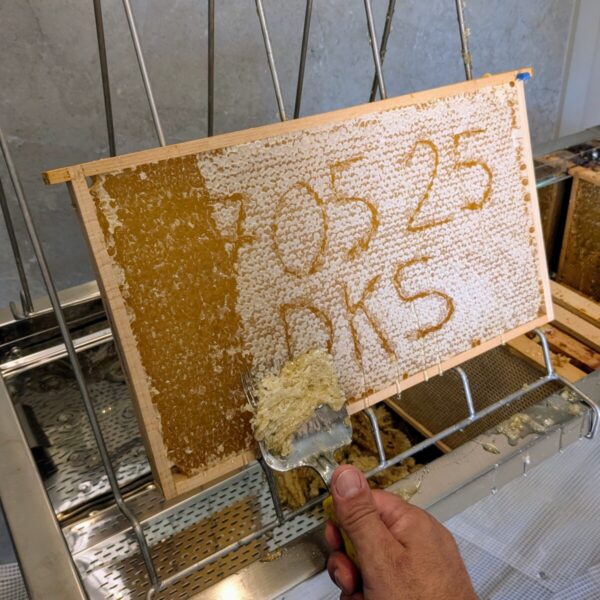 Lentehoning 2025 (crèmige of vaste honing 500gr) - Afbeelding 7