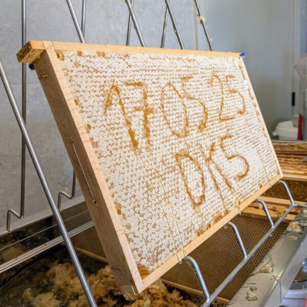 Lentehoning 2025 (crèmige of vaste honing 500gr) - Afbeelding 6