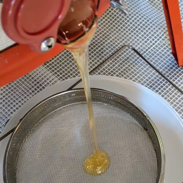 Lentehoning 2025 (crèmige of vaste honing 500gr) - Afbeelding 9